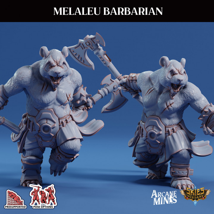 Melaleu Barbarian's Cover