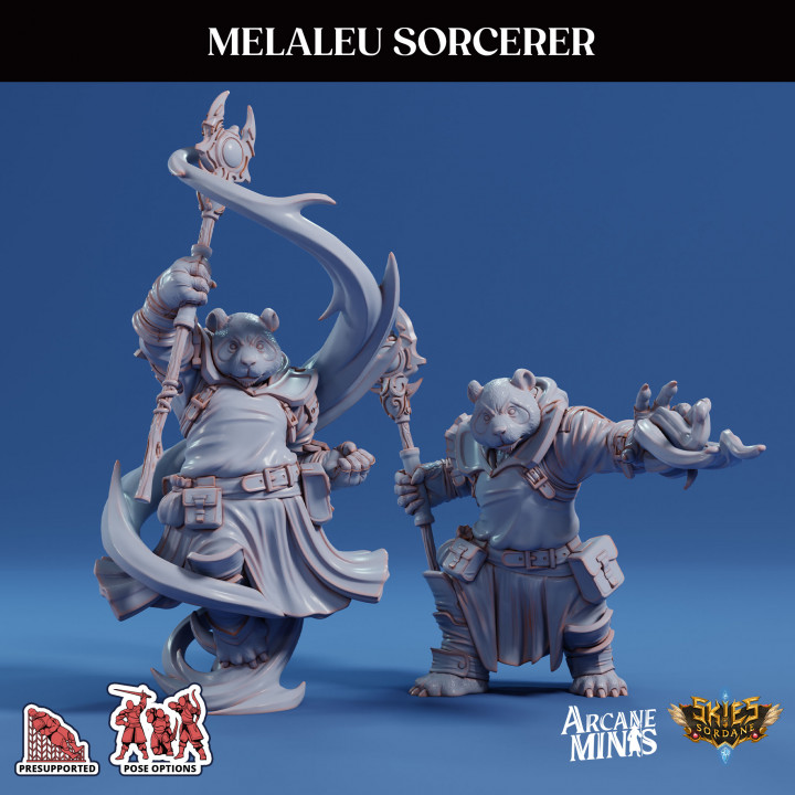 Melaleu Sorcerer's Cover