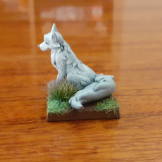 Picture of print of Artox - The Arctic Fox (Pre-Supported)