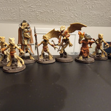 Picture of print of Kobold Pack
