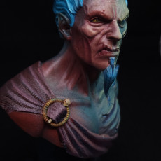 Picture of print of Hades Bust (Pre-Supported)