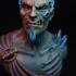 Hades Bust (Pre-Supported) print image