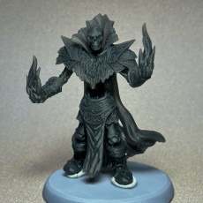 Picture of print of Risen Bloodmage Two models