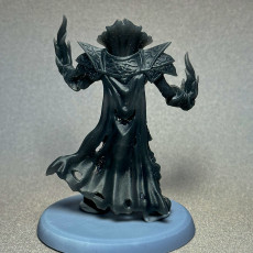 Picture of print of Risen Bloodmage Two models