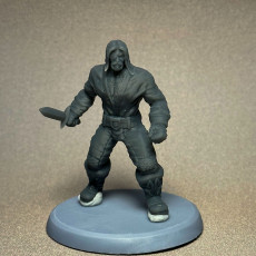 Picture of print of Pirate Bandit Two Models