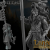 Elven Royal Guard image