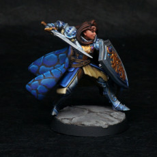 Picture of print of Female Knight