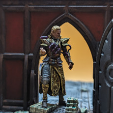 Picture of print of High Elf Artificer - Netros
