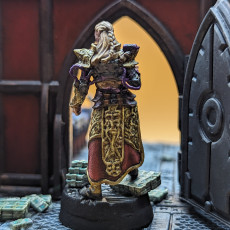 Picture of print of High Elf Artificer - Netros