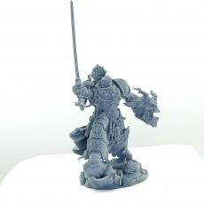 Picture of print of Imperial Marine Crusader Electus