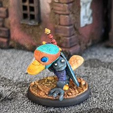 Picture of print of Platypus Rogue (pre-supported Included)
