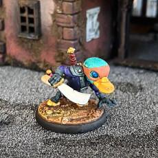Picture of print of Platypus Rogue (pre-supported Included)