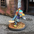 Platypus Rogue (pre-supported Included) print image