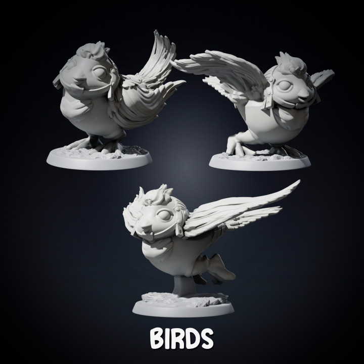 mouse on birds 4 variants's Cover