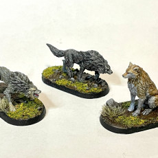 Picture of print of Wolf & Grizzly Bear Set / Wild Animal / Woodland Predator / Evil Beast / Forest Encounter
