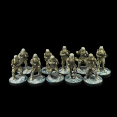 Picture of print of Imperial Winter Troopers