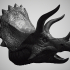 Triceratops  Head image