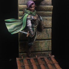 Picture of print of Chrystina The Rogue