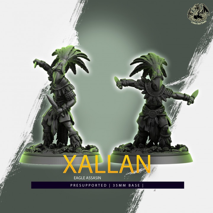 Xallan - Eagle Assassin -'s Cover
