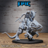 Bipedal Drake Set / Dragonborn Beast / Draconic War Lizard / Reptile Servant / Dragonkin / Evil Dragon Army image
