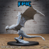 Wyvern Classic Set / Bulky Dragon / Winged Reptile / Draconic Wizard Mount / Magical Encounter / Drake Army image