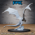 Wyvern Classic Set / Bulky Dragon / Winged Reptile / Draconic Wizard Mount / Magical Encounter / Drake Army image
