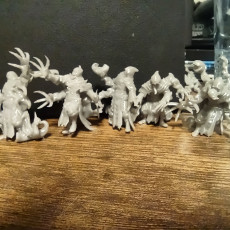 Picture of print of Darkspawn Acolytes