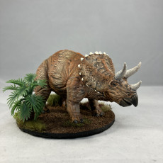 Picture of print of TRICERATOPS