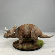 Picture of print of TRICERATOPS