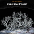 Dark Oak Forest image