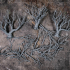 Dark Oak Forest image