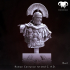 Bust - Roman Centurion 1st-2nd C. A.D. Spear of Rome! image