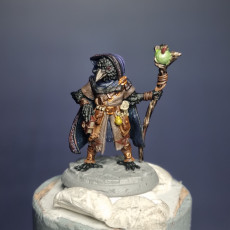Picture of print of Kenku Wizard
