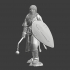 Medieval Lazarus brother knight with flail image