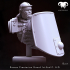 Bust - Roman Praetorian Guard 1st-2nd C. A.D. in action image