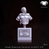 Bust - Roman Praetorian Centurion  1st-2nd C. A.D. in Command! image