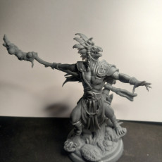 Picture of print of Lizardfolk Sorcerer 32mm and 75mm pre-supported