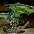 Legendary chromatic Green dragon print image