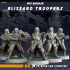 Blizzard Troopers image