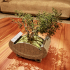 Chinese Style Bonsai Planter image