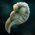 Alien embryo image
