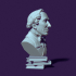 Bust of Hans Christian Andersen image