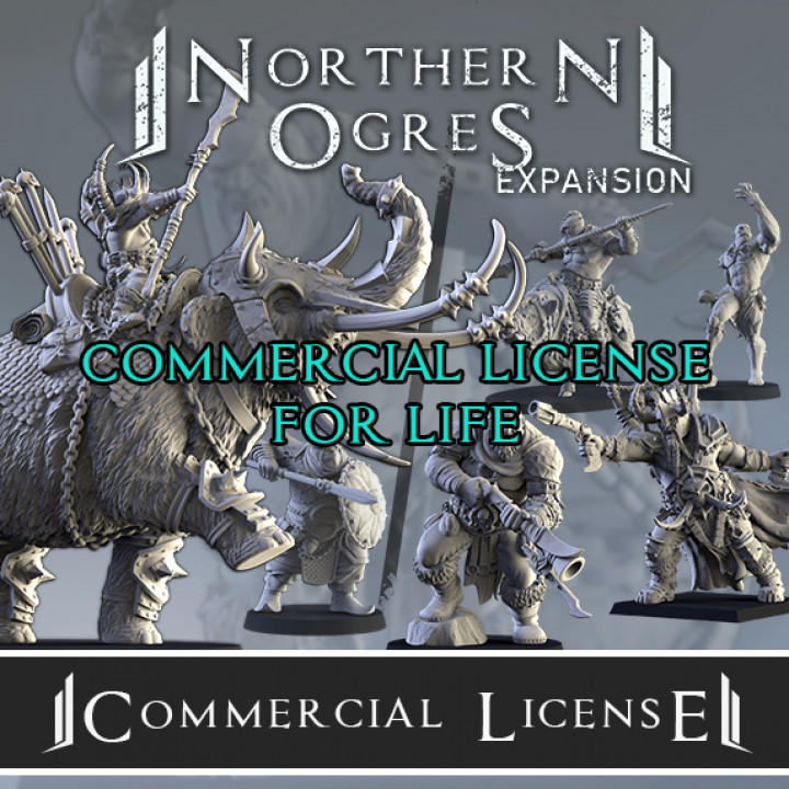Commercial License NO Document's Cover