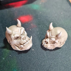 Picture of print of Pigfolk Skull (3 versions)