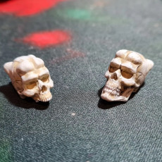 Picture of print of Twiik Skull (3 versions)