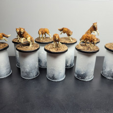 Picture of print of Sweorcan's Pack, Wulf Unit