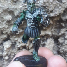 Picture of print of Hades Chaos Warrior IV