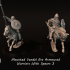 Mounted Vendel Era Armoured Warriors With Spears 3 image