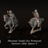 Mounted Vendel Era Armoured Warriors With Spears 4 image