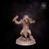 Gnoll pack Lord image